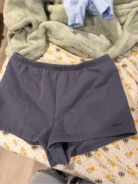 Aritzia Women’s Fleece Athletic Shorts — Slate Blue